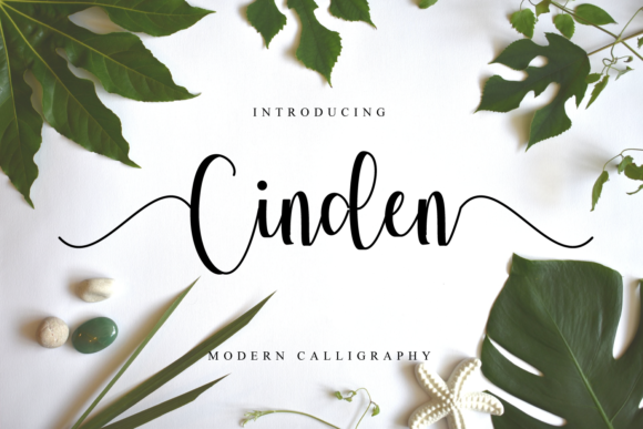 Cinden: A Flowing Handwritten Font